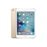 iPad Pro 12 inch Wifi Cellular